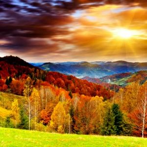 Meet your Posher, Monique